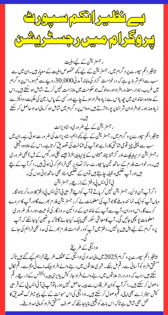 Benazir Income Support Program Application Process Online Through Portal And Through Office