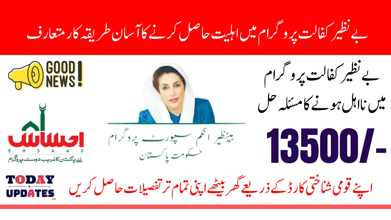 Complete Method to Check Eligibility and Payment in Benazir Kafalat 8171 Program