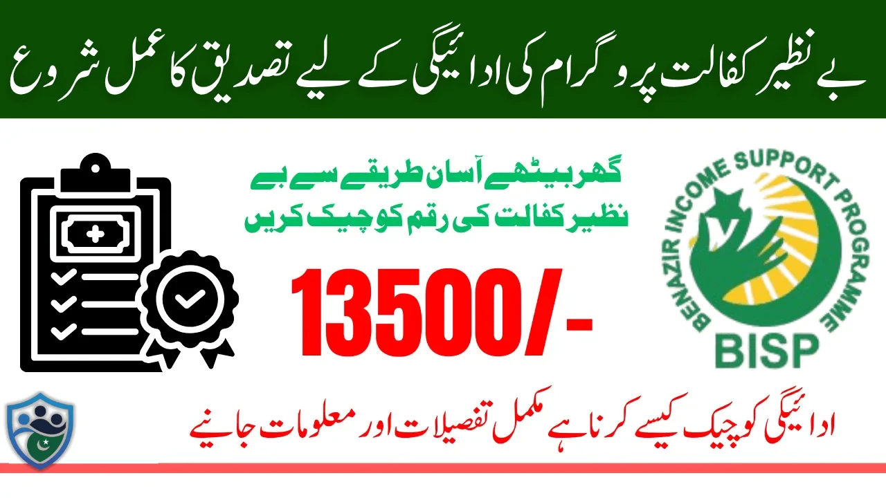 How To Track Your Application Status After Submit Registration For Benazir Kafalat 13500 Payment In 2025