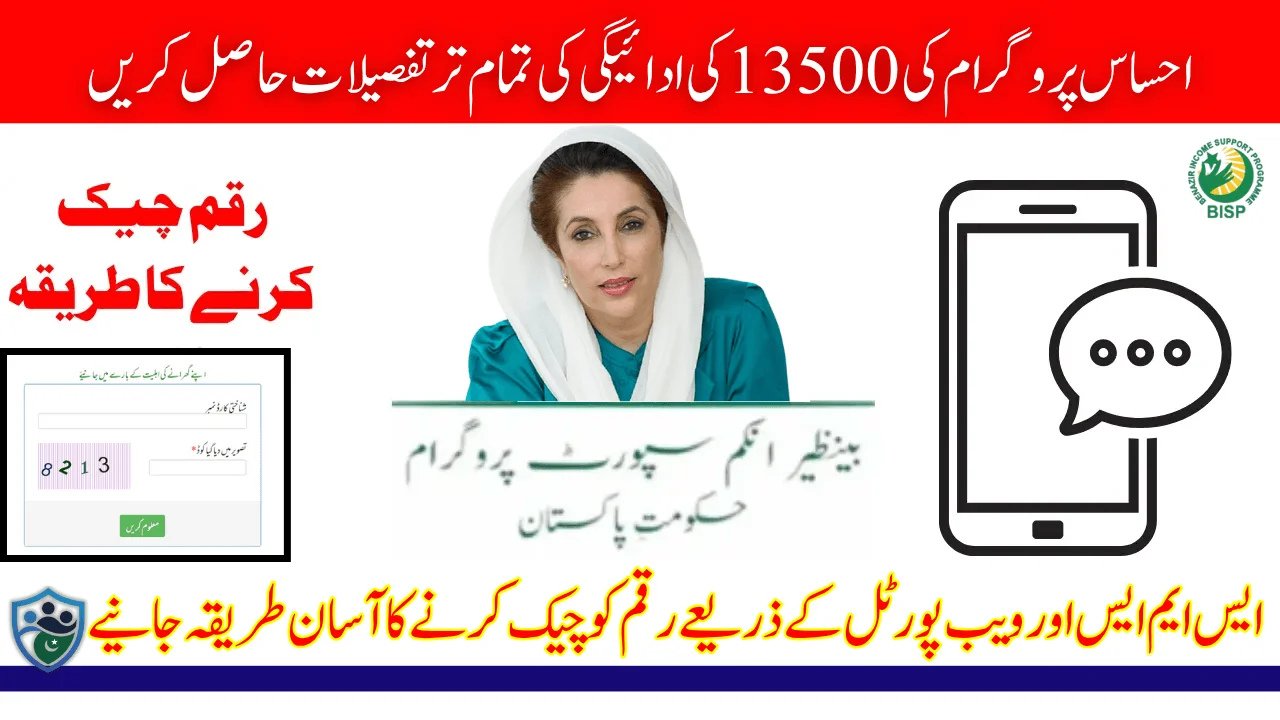 8171 Check Online CNIC 13500 Payment Using Web Portal And SMS Know Complete Details