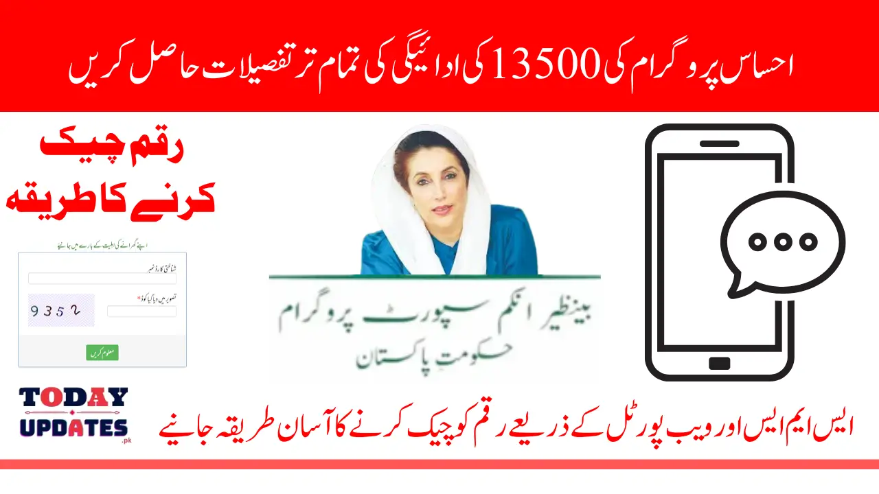 8171 Check Online CNIC 13500 Payment Using Web Portal And SMS Know Complete Details