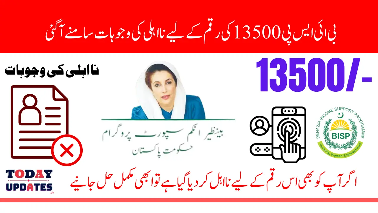 BISP 13500 New Payment Disqualification Reasons and Re-Registration Solution 2025
