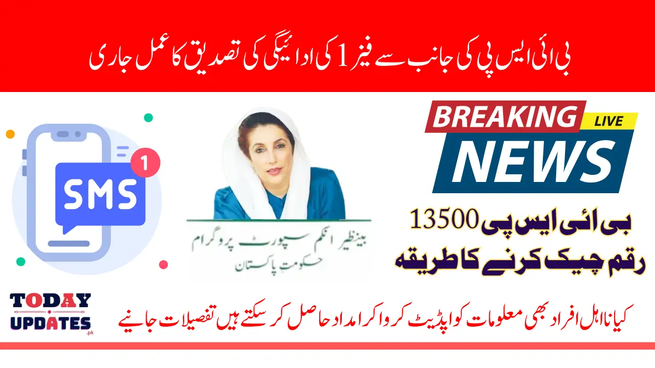 BISP 8171 Payment Identification Process Start For Ineligible Beneficiaries