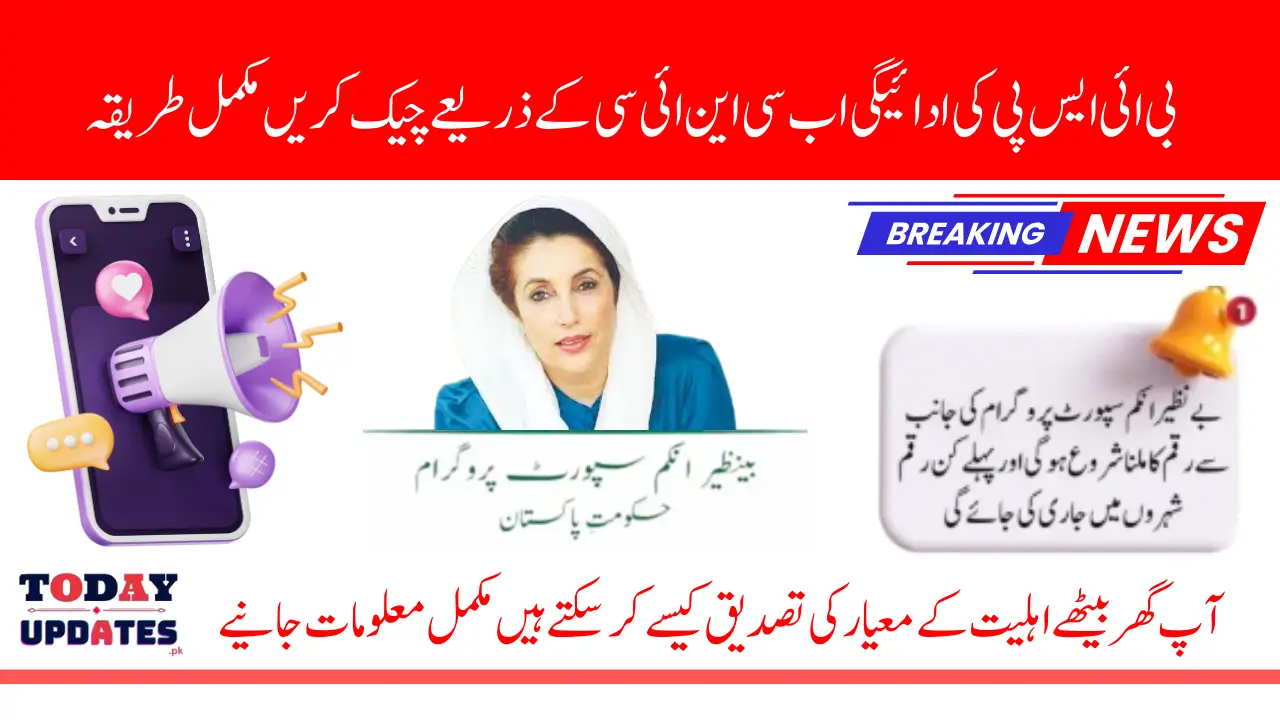 BISP 8171 Payment Verification Through CNIC Check Your Name For Phase 1 Payment