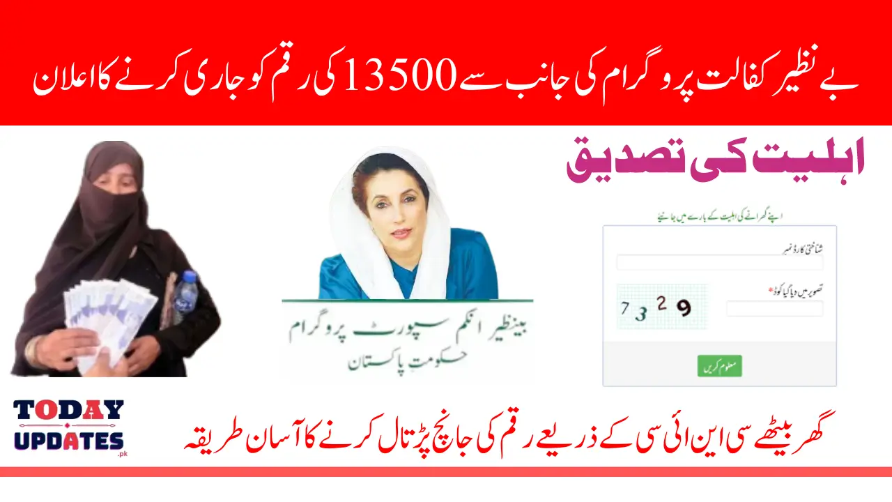 Benazir April 2025 Payment Eligibility Status Check Through 8171 Web Portal Via CNIC