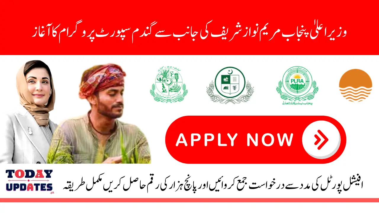 CM Punjab Wheat Support Program 2025 Online registration Via Portal Know Complete Details