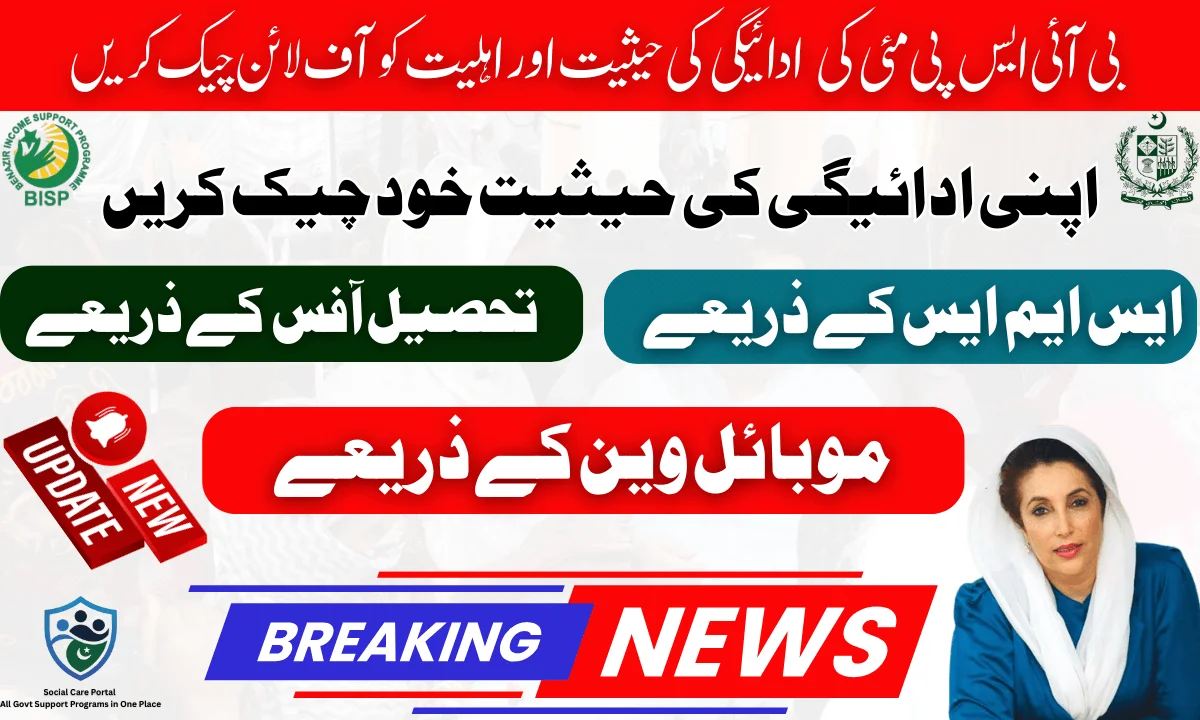 BISP 8171 Payment Status