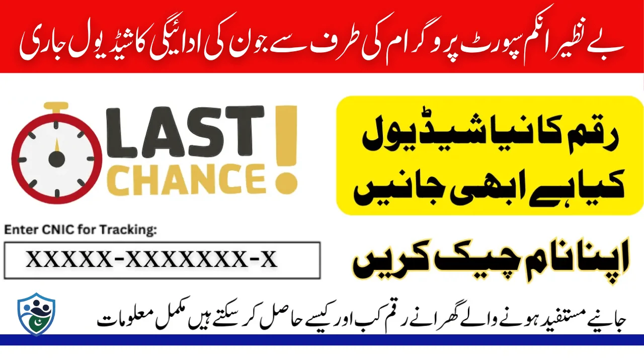 Benazir Income Support Program June Payment Schedule And Distribution Details 2025