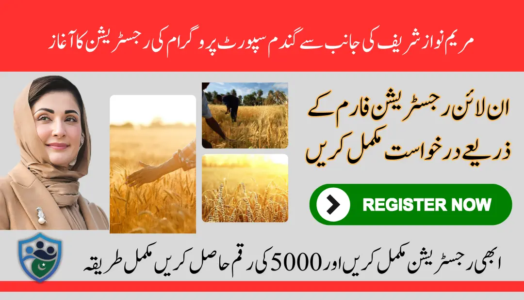 CM Punjab Wheat Support Program 2025 Online Registration For 5000 Per acre (1)