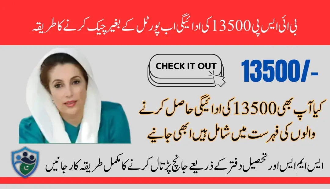 Check BISP Payment Without Portal Using Alternative Method SMS And Tehsil Office 2025