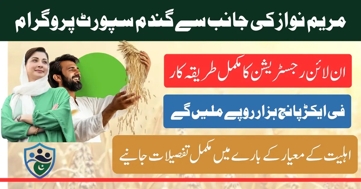 CM Punjab Wheat Support Program Complete Application Process For Payment