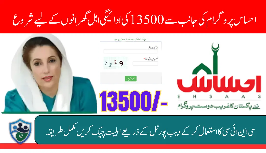 Ehsaas 8171 Payment June 2025 Check Using CNIC Via Web Portal Know Full Details (1)